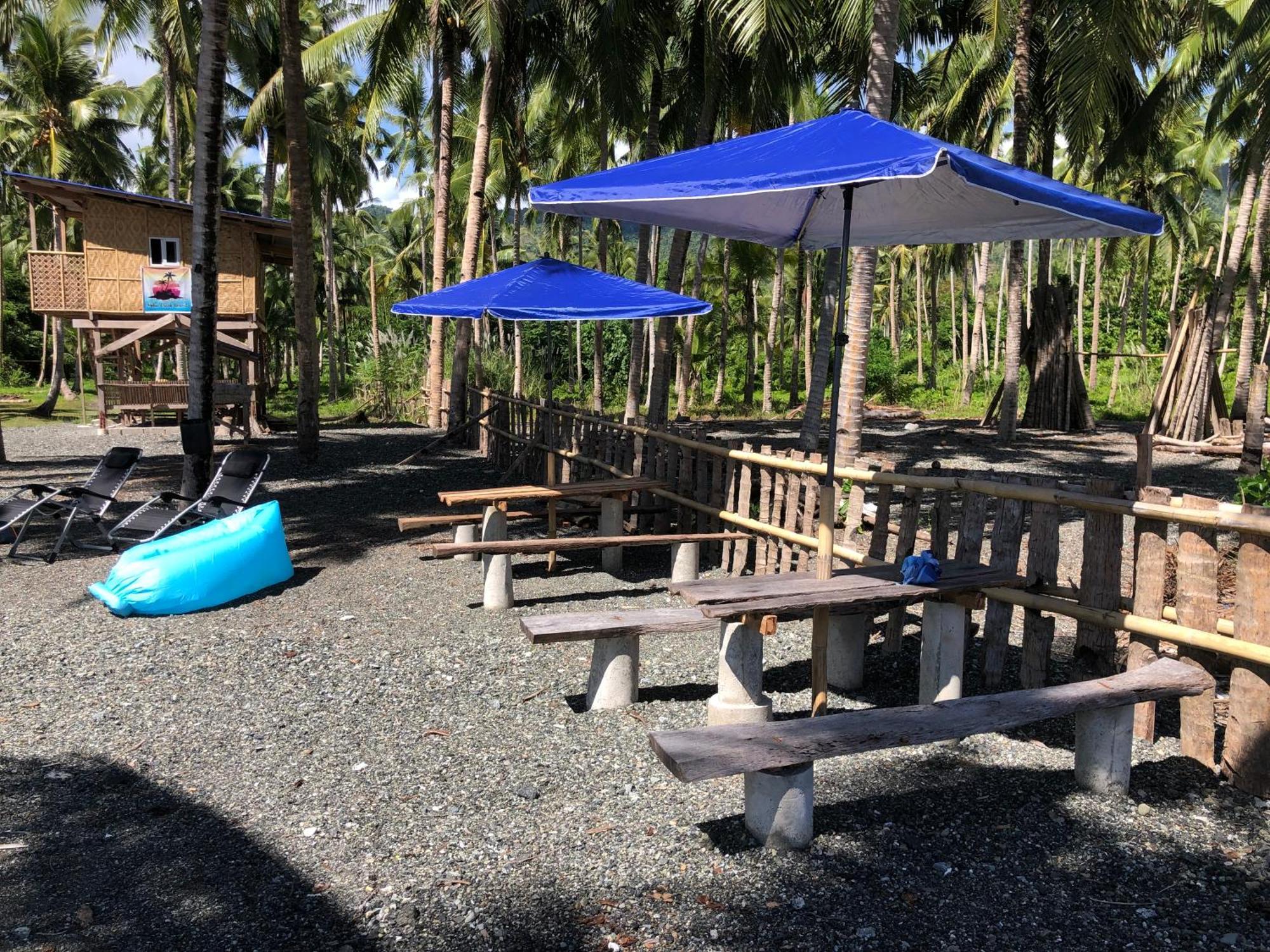 Campsite Palm Creek *